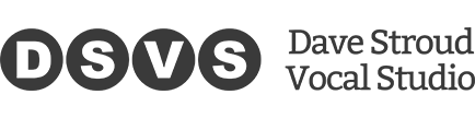 DSVS